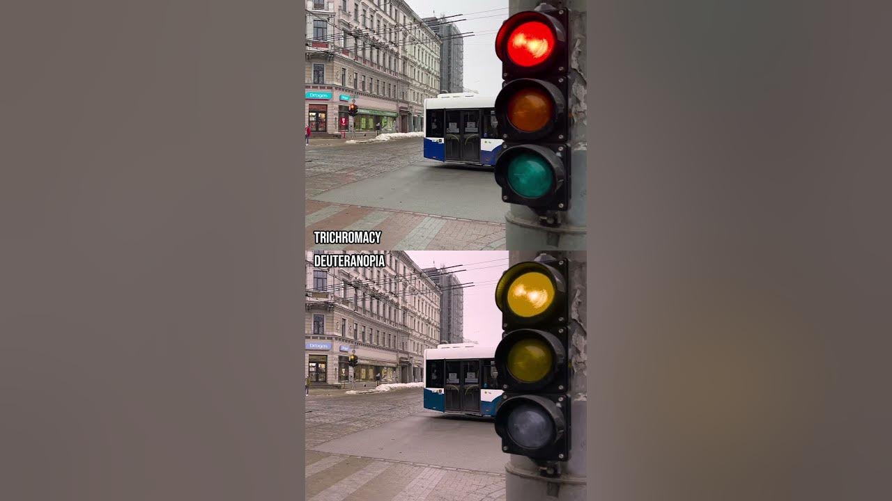 How do those with colour blindness perceive traffic lights?Shorts 
