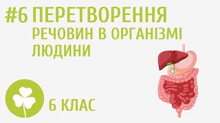 Перетворення речовин в організмі людини #6