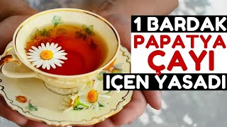 Akşamları 1 Bardak Papatya Çayı Vücudunuza Bunları Yapıyor Papatya Çayının Faydaları Nelerdir?