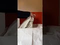 unboxing HERMES bag #asmr#mha