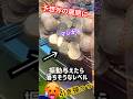 台叩けば落ちるんじゃないかな ゲーセン メダルゲーム コインゲーム Shorts