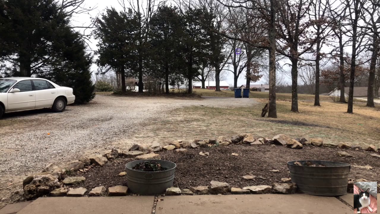 Highlight winter storm mode live view from festus mo stlwx mowx