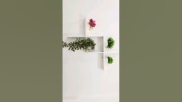 wall shelf idea for cardboard || cardboard craft || Easy wall shelf idea || MS creativity