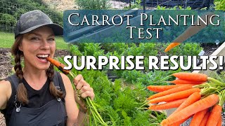 Tricks for Sowing Carrots TEST RESULTS