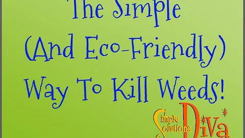 SimpleSolutinsDiva.com: Simple & EcoFriendly Way To Kill Weeds