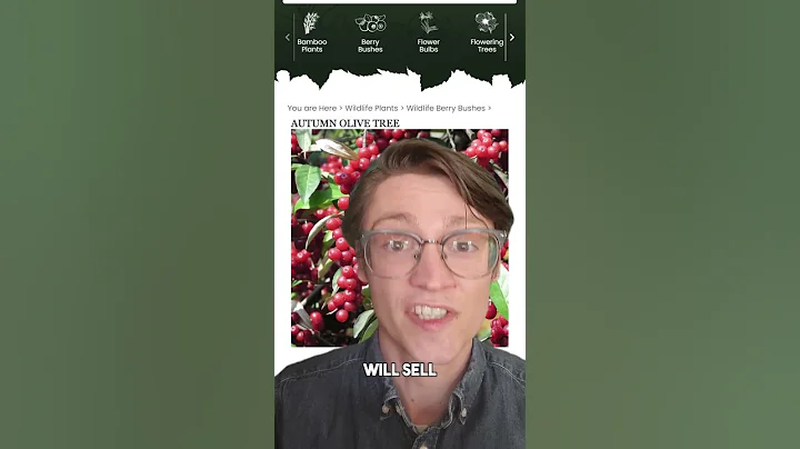 HOW INVASIVE PLANT SPECIES ARE AFFECTING OUR WILDLIFE