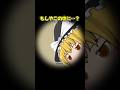 【ゆっくり茶番】壺にハマった時の対処法　#ゆっくり #ゆっくり茶番 #ゆっくりムービーメーカー4 #shorts