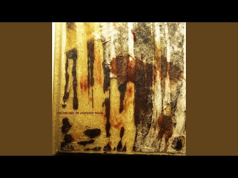 Nine Inch Nails - Pinion (The New Flesh) [disc 2]