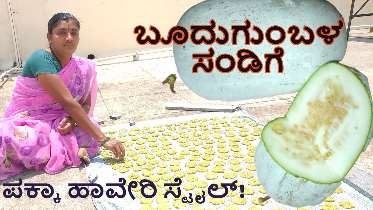 #howtomakeHairycucumbersnacks I ಬೂದುಗುಂಬಳ ಸಂಡಿಗೆ Homeremedy Summerrecipe uttara karnataka recipe2021