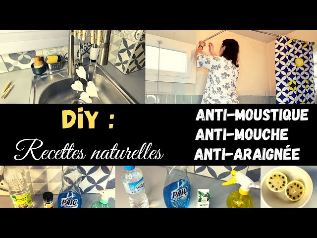 DIY : Recettes naturelles Anti-moustique-Anti-mouche-Anti-araignée -  Astuces/Recette facile. 