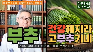 [식의보감] 봄부추의 놀라운 효능들!!! 봄부추는 건강해지라고 살랑살랑 부추긴다.