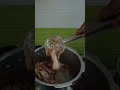 Mutton Mukuruni saiyalam# Mutton #trending #Mukuruni