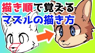 【イラスト講座】描き順で覚えるマズルの描き方