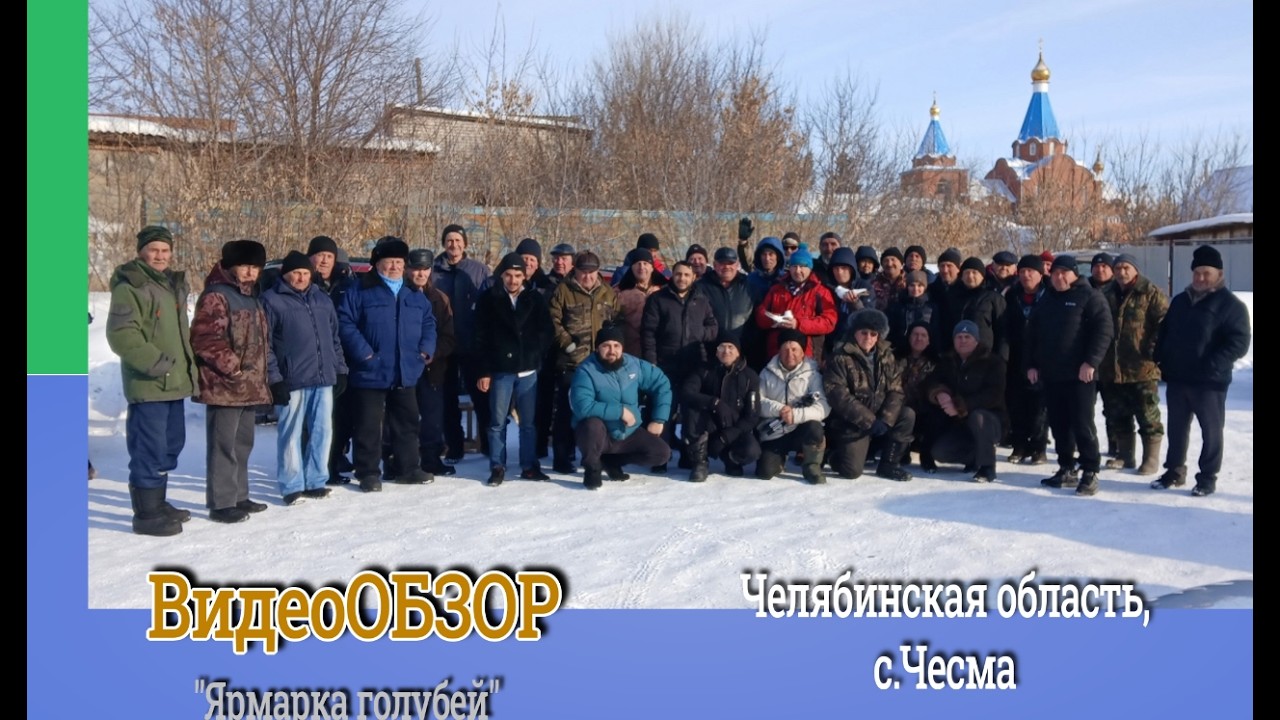 ВидеоОБЗОР /Ярмарка голубей/  с  Чесма. 28.02.26г