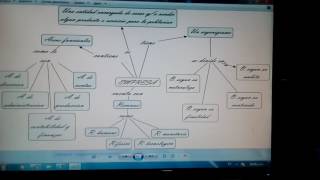 Mapa Mental: La Empresa