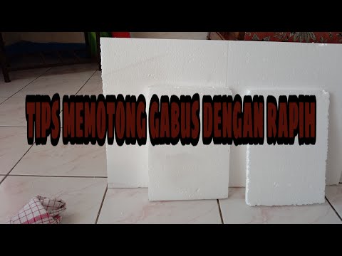 Cara Memotong Gabus dengan Benar dan Rapih