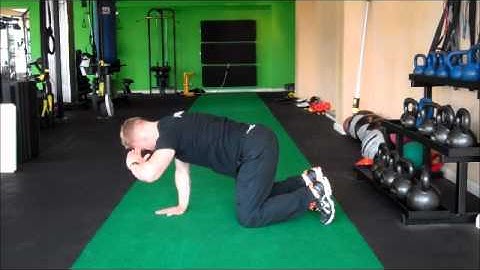 Quadruped Extension Rotation