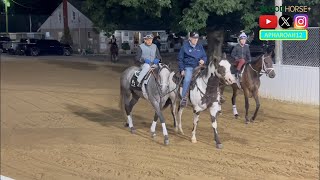 Seize the Grey, Honor Marie Train For 2024 Belmont Stakes