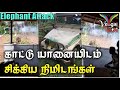 வனத்துறையினரை தாக்க வந்த காட்டு யானை | உணவு தேடி விளை நிலத்திற்குள் காட்டு யானை | Wild Elephant