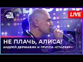 Андрей Державин - Не плачь, Алиса (LIVE@2022)