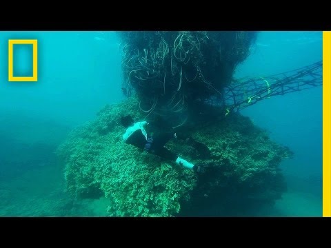 The Monster 11-Ton Net That Threatened Hawaii’s Coast | National Geographic