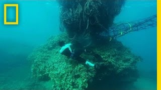 Famous The Monster 11-Ton Net That Threatened Hawaii’s Coast | National Geographic Profile