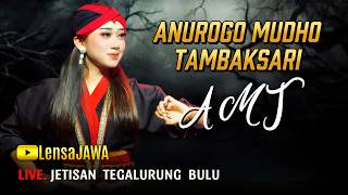 Download Lagu WAROK PUTRI !!! AMT ANUROGO MUDHO TAMBAKSARI - LIVE JETISAN TEGALURUNG BULU TEMANGGUNG MP3
