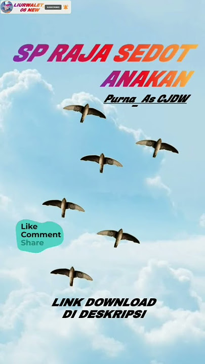 Swiftlet Sound