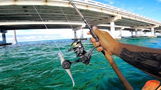 Florida Keys Fishing - No Two Days Fish Alike (Eating What I Catch)