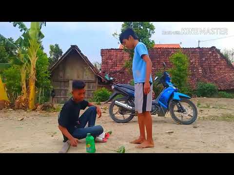 ADOL MANUK ( tuku ciu )