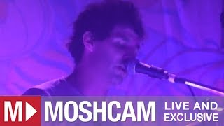 Animal Collective - Intro To Guys Eyes | Live in Sydney | Moshcam