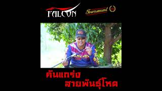 คัน ฟอลคอน FALCON TOURNAMENT (V8)