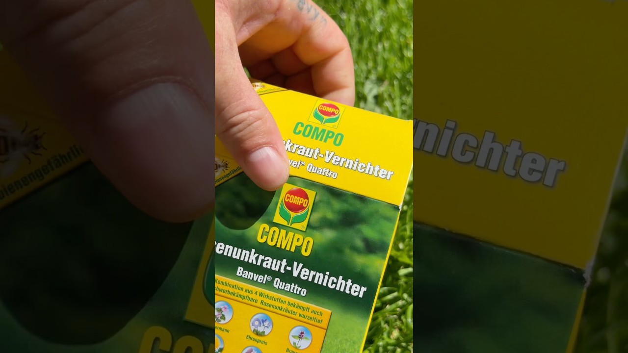heilkräuter saatgut BIO Mariendistel Samen