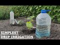 The EASIEST  DRIP IRRIGATION DIY in a FEW MINUTES