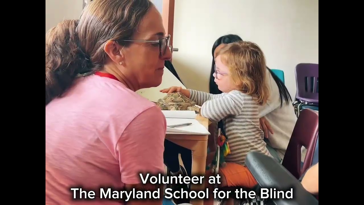 Six touchable 3D marine sculptures shared with the MSB ,the National Aquarium and Bryn Mawr