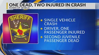 Boy pronounced dead at the scene of Shawano County rollover crash, 2 others injured