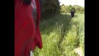 Wesley And Tony And The Scarecrow Part 1