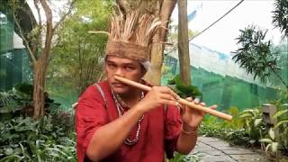Pemain muzik Pensol Menggunakan Hidung /  Bamboo Nose Flute
