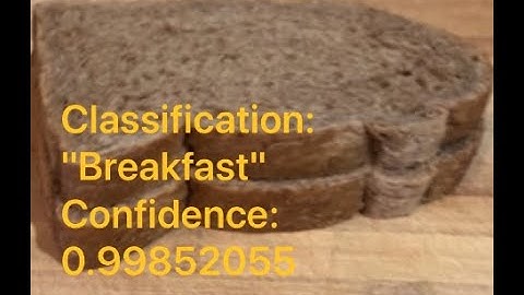 AppDevelopment - Machine Learning Day 4 - Image Classifier on iOS