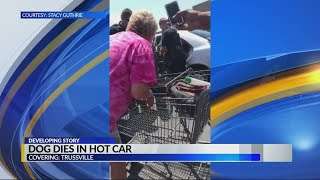Dog dies after being left in car in Trussville parking lot