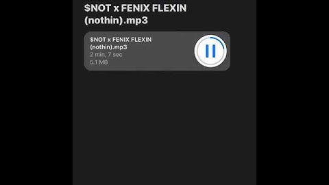 $NOT x FENIX FLEXIN - Nothin (snippet)