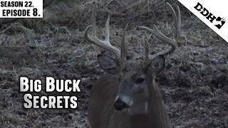 Big Buck Secrets | Deer & Deer Hunting TV