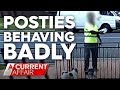 Posites caught in the act | A Current Affair