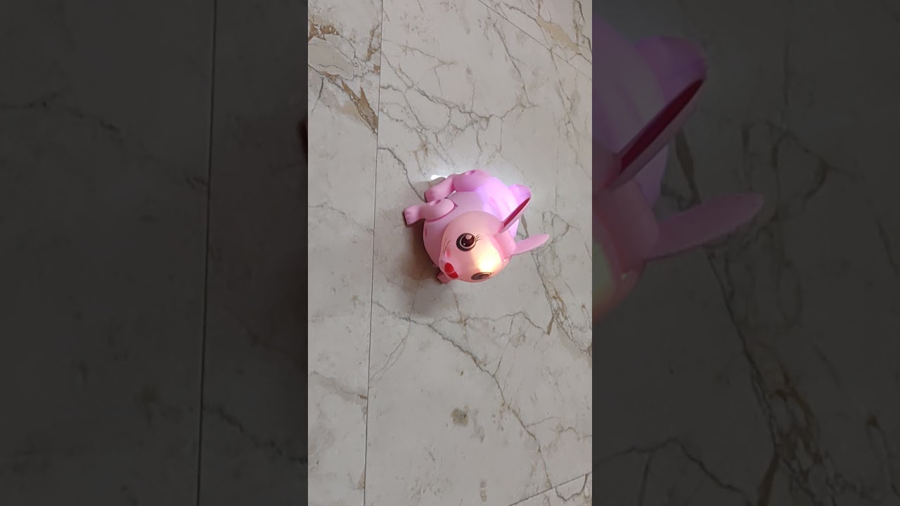 Dancing Rabbit Toy