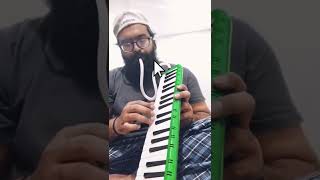Practicing New Melodica