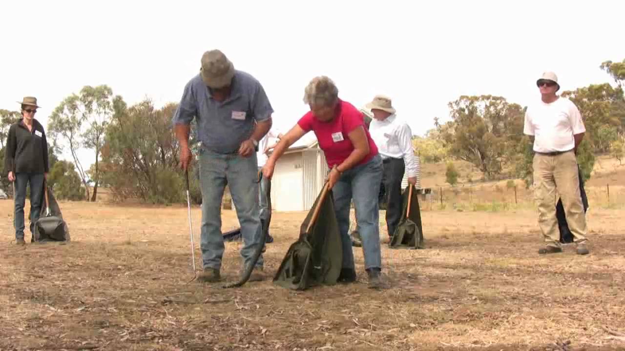 Snake Handling Course run by Wildcare trainers YouTube