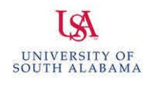 University of South Alabama College of Nursing Graduation Fall 2020