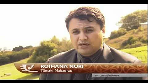 Three iwi want Crafar farms sold back to them