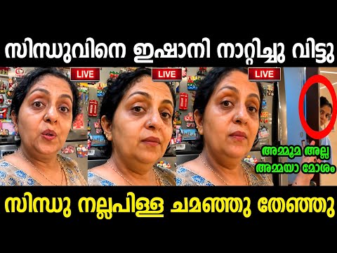 സിന്ധുവിൻ്റെ ന്യായികരണം കൈയ്യോടെ തൂക്കി 😂 | Sindhu Krishna Troll Malayalam | Jithosh Kumar
