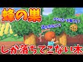 【小技】蜂しか落ちてこない木の小ネタ集が使えるかもしれないwww【あつまれどうぶつの森】【パグ】